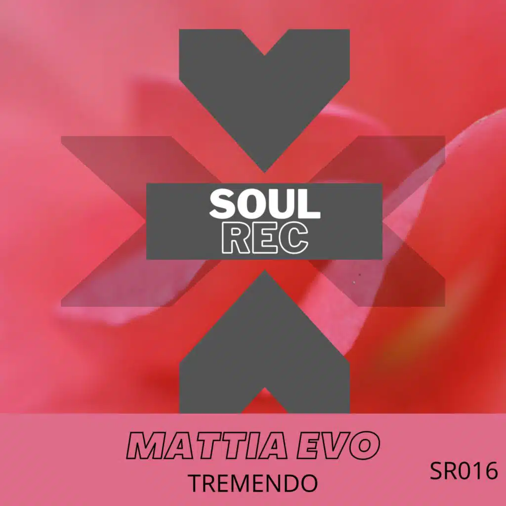 Mattia Evo