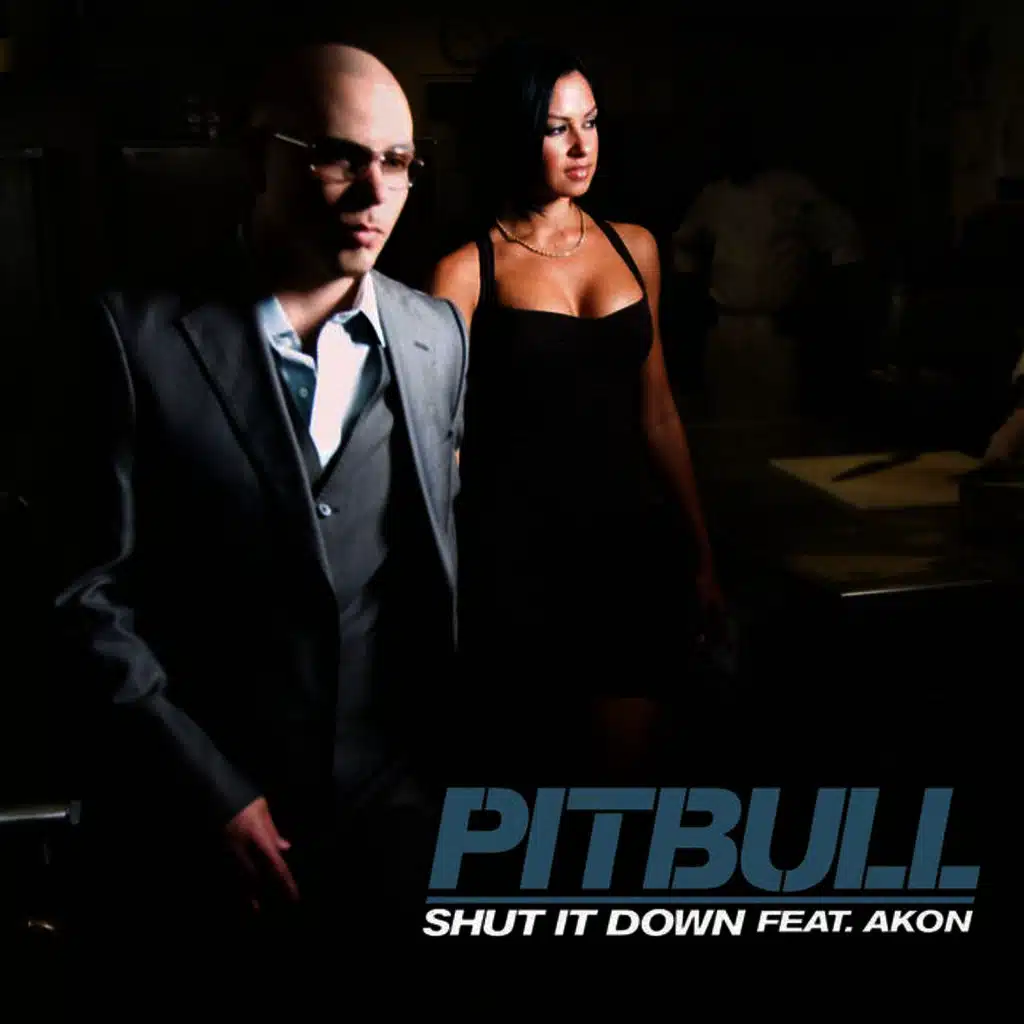 Shut It Down (feat. Akon)