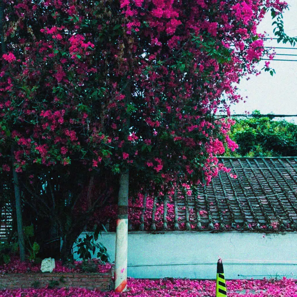 slow summer ever (piano cover)