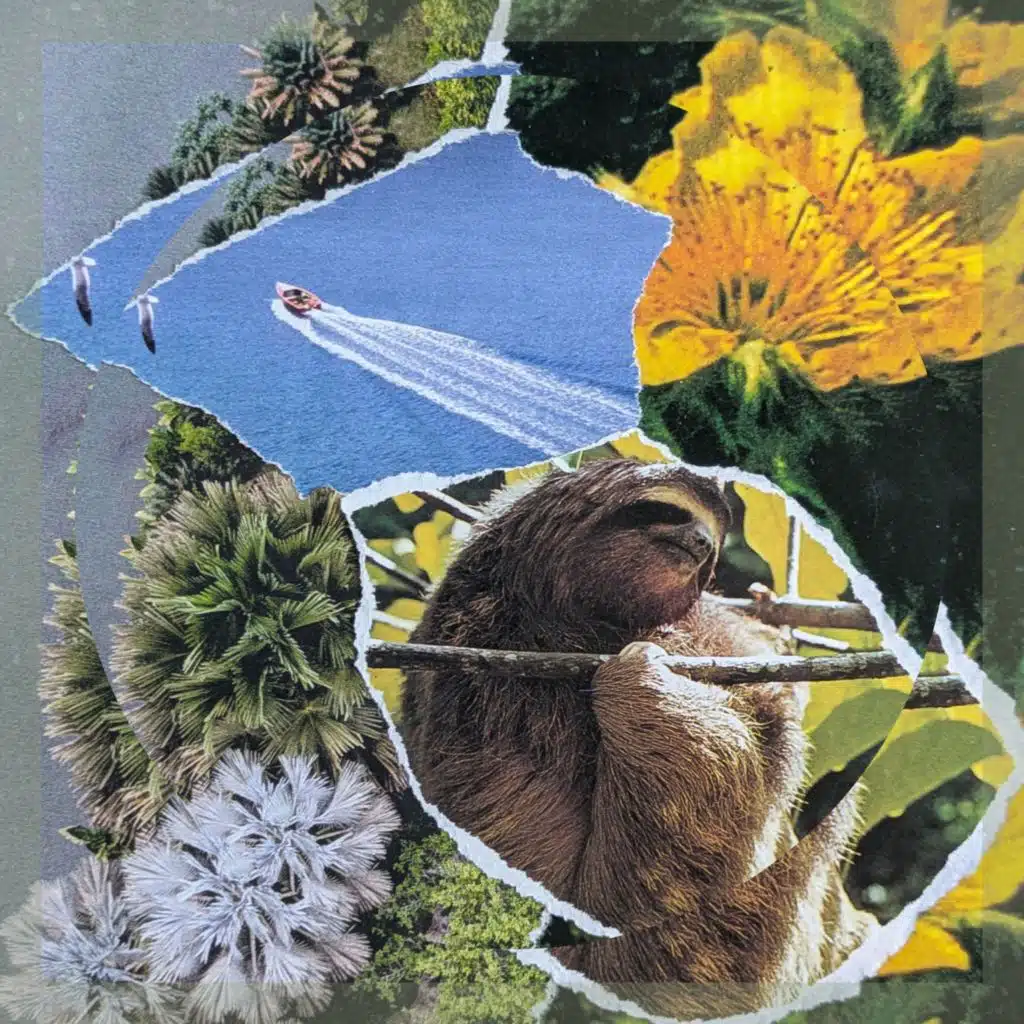 Silvaa.beats & XXIII