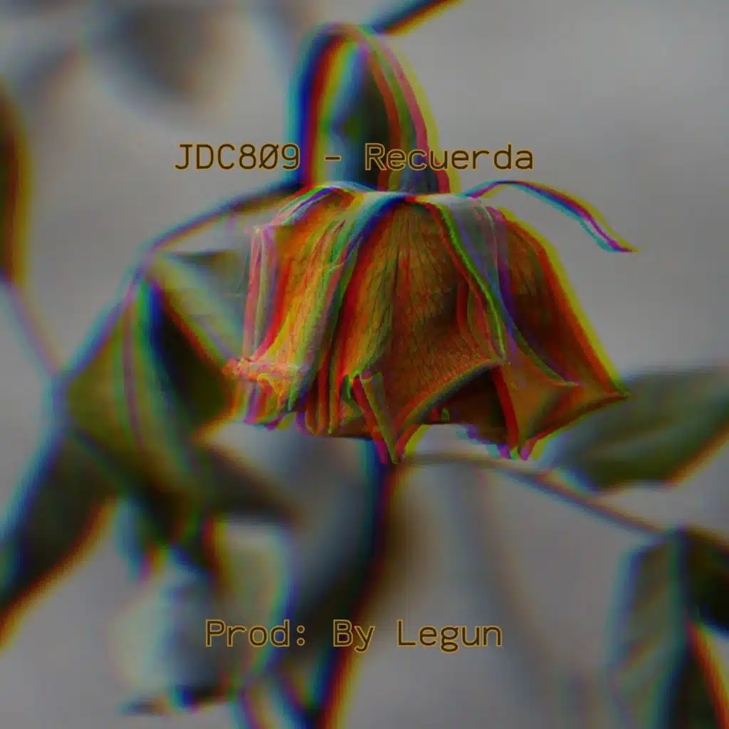 JDC809