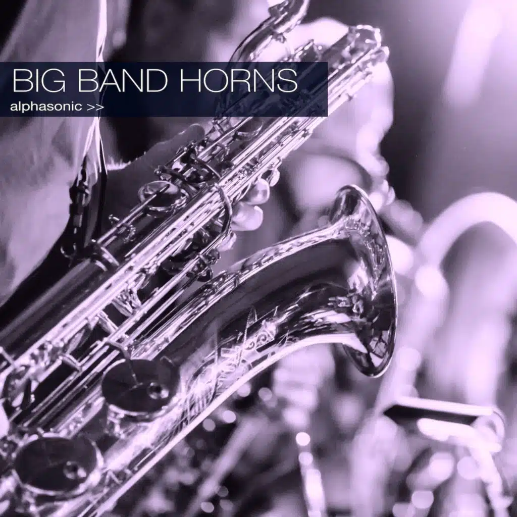 Big Band Horns