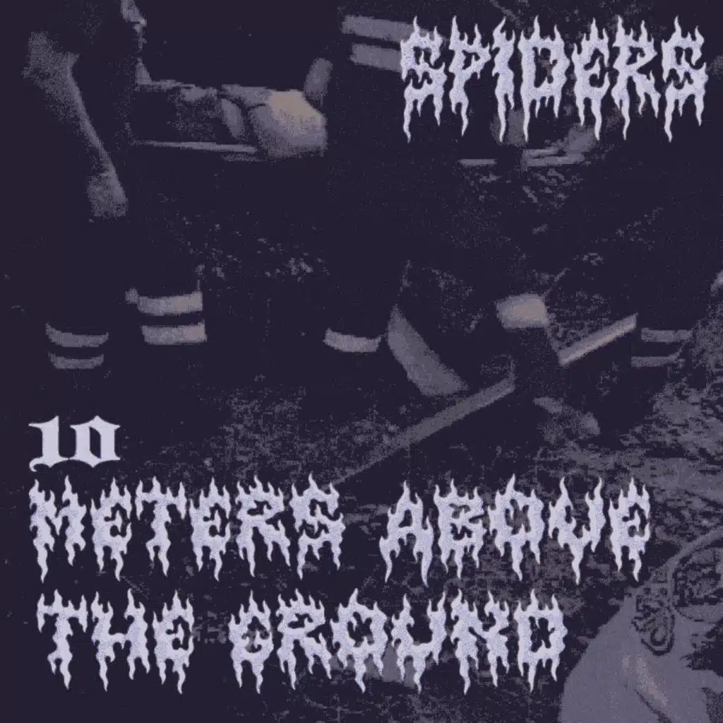 Spiders