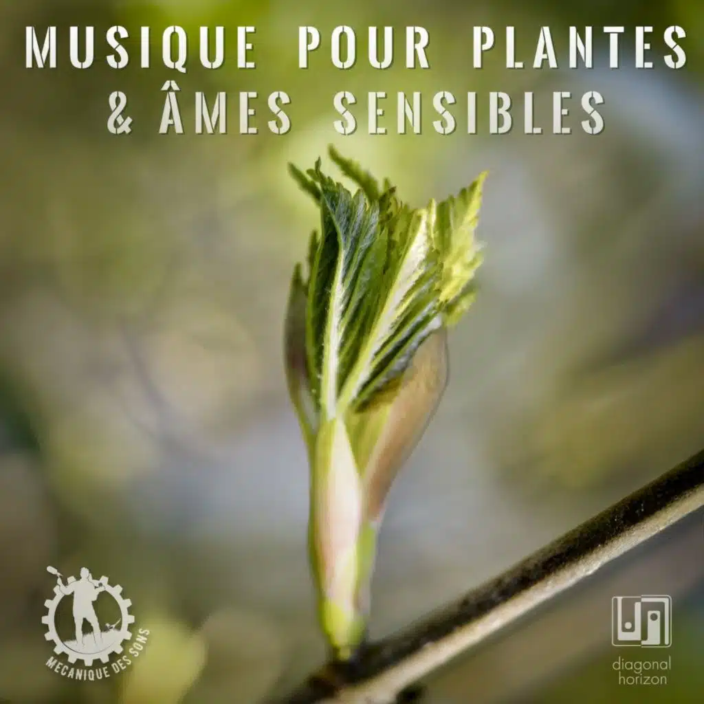 Musique pour plantes et âmes sensibles