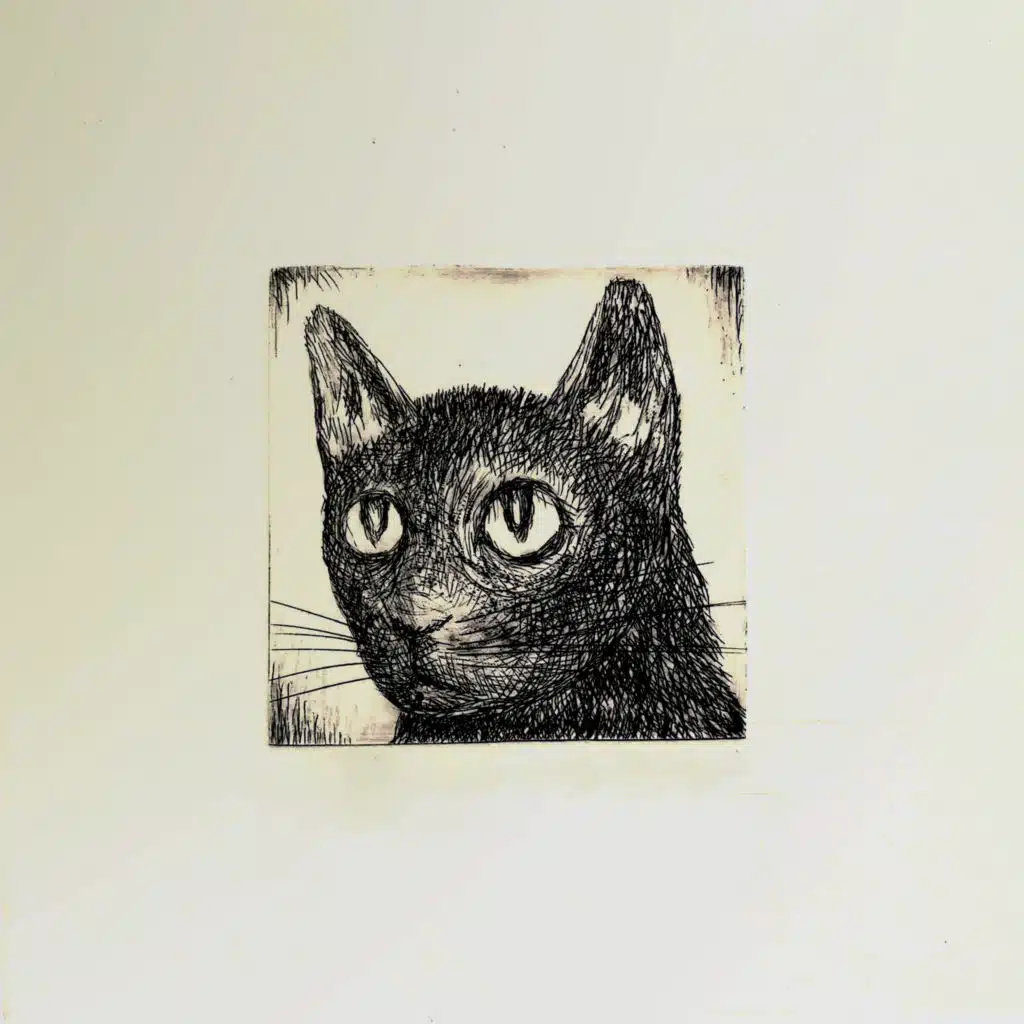 JAZZ PARA GATOS PERDIDOS