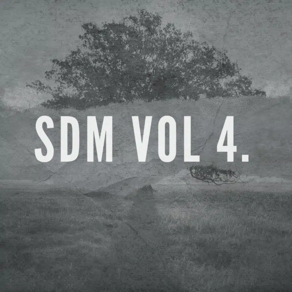 Sdm, Vol. 04