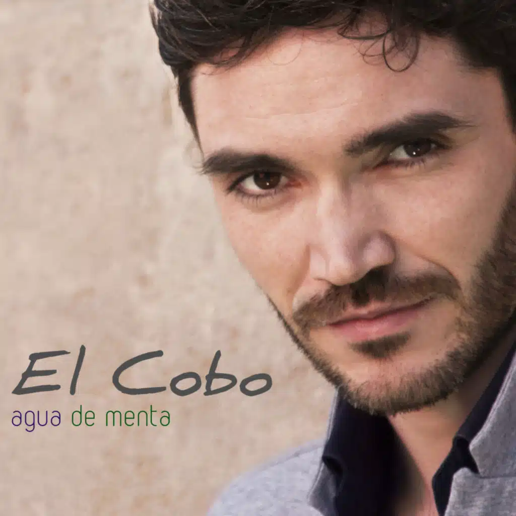 Agua de menta