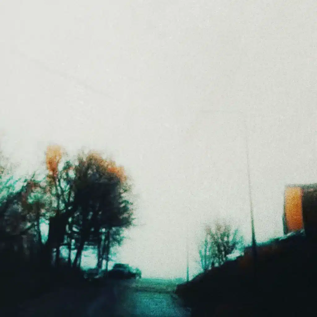 we chose this path