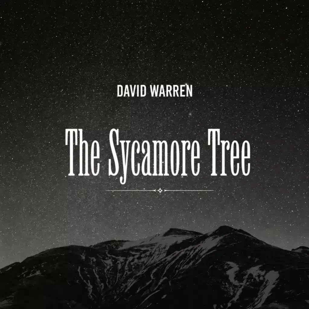 David Warren