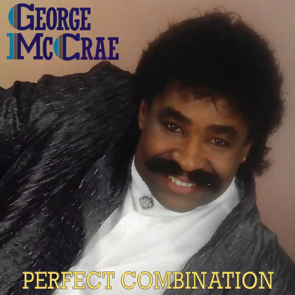 Perfect Combination (Remastered)