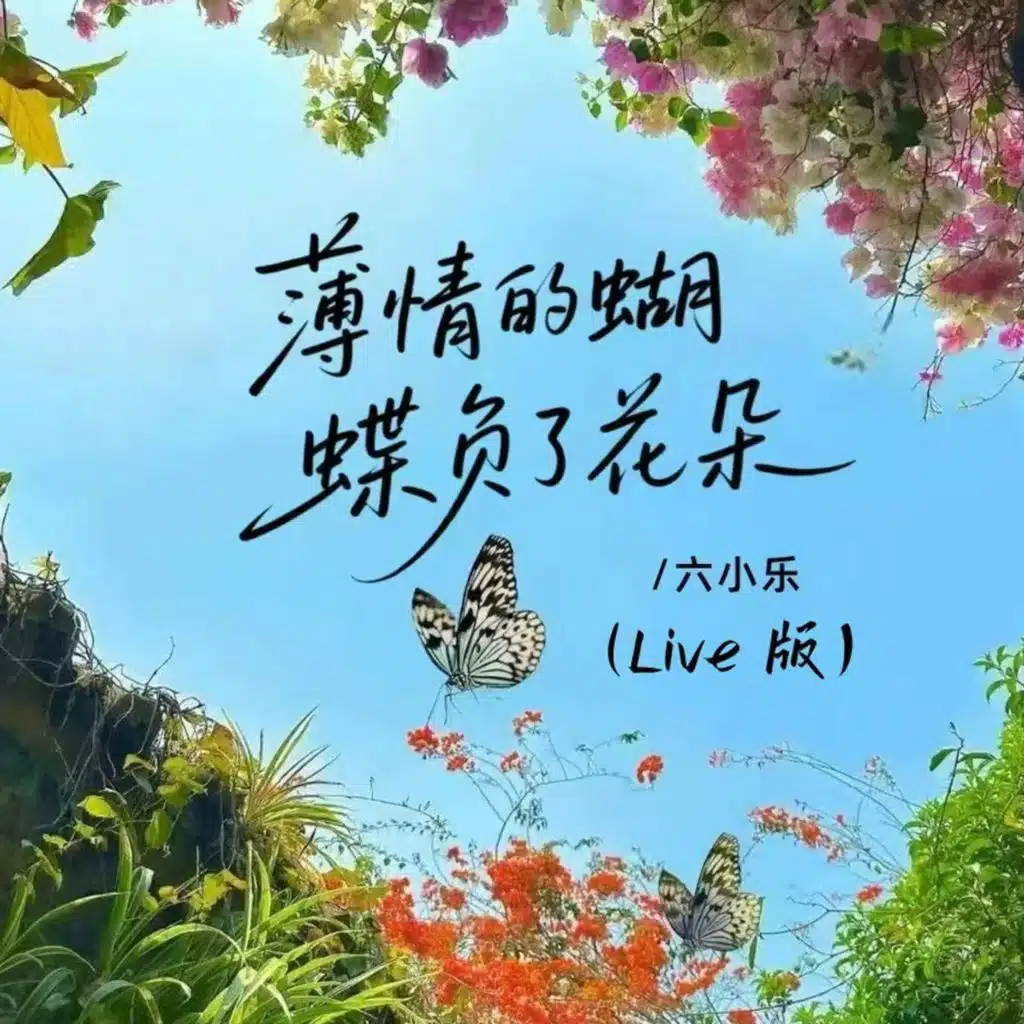 薄情的蝴蝶负了花朵（Live版）