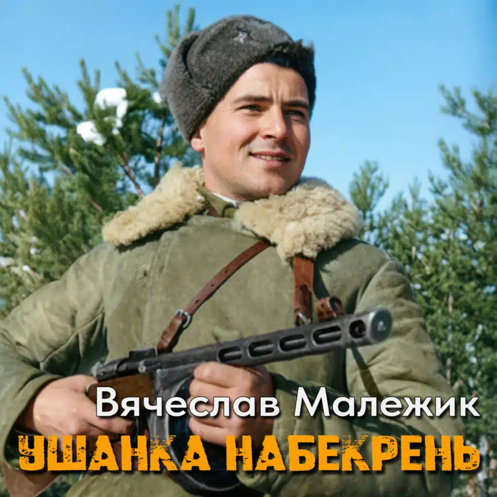 Vyacheslav Malezhik