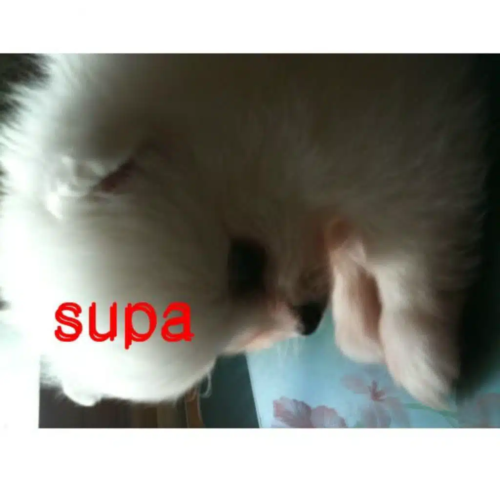 Supa