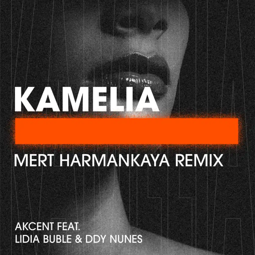 Kamelia (Mert Harmankaya Remix) [feat. Lidia Buble & DDY Nunes]