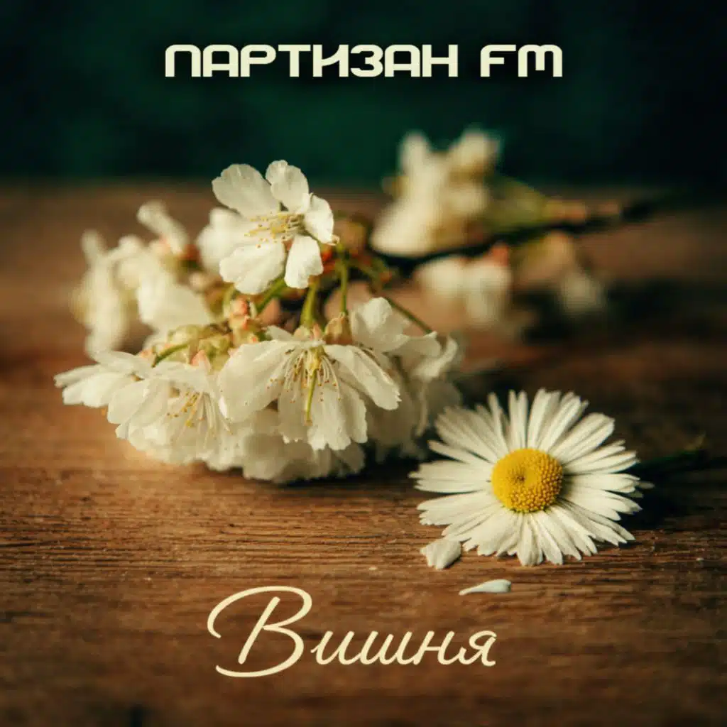 Вишня