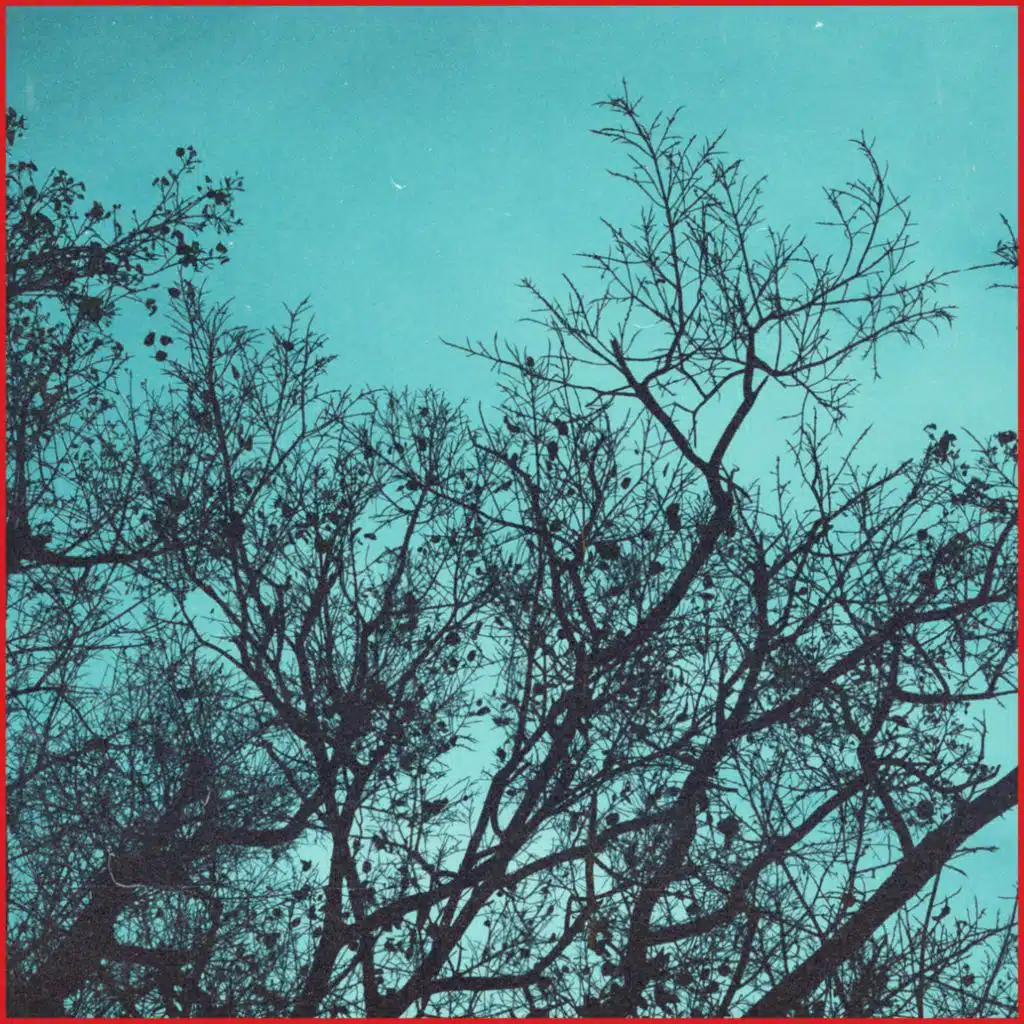Arabella Sky