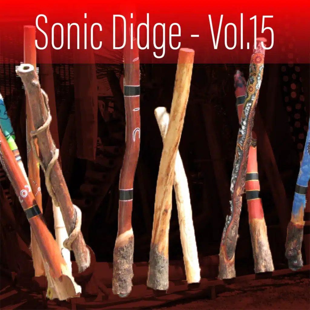 David Hudson & Sonic World Orchestra