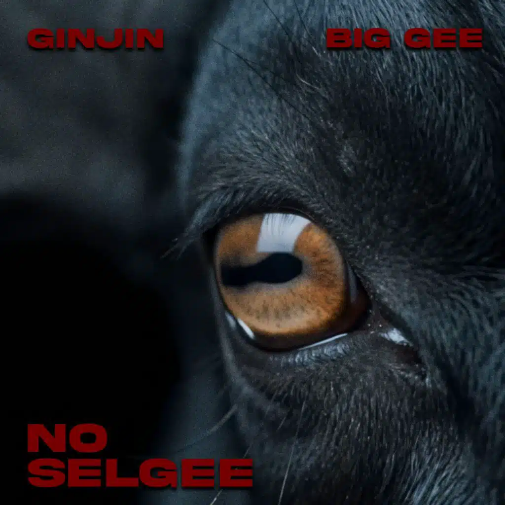Ginjin