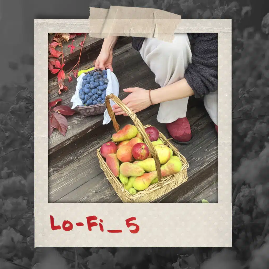 Lo-Fi_5