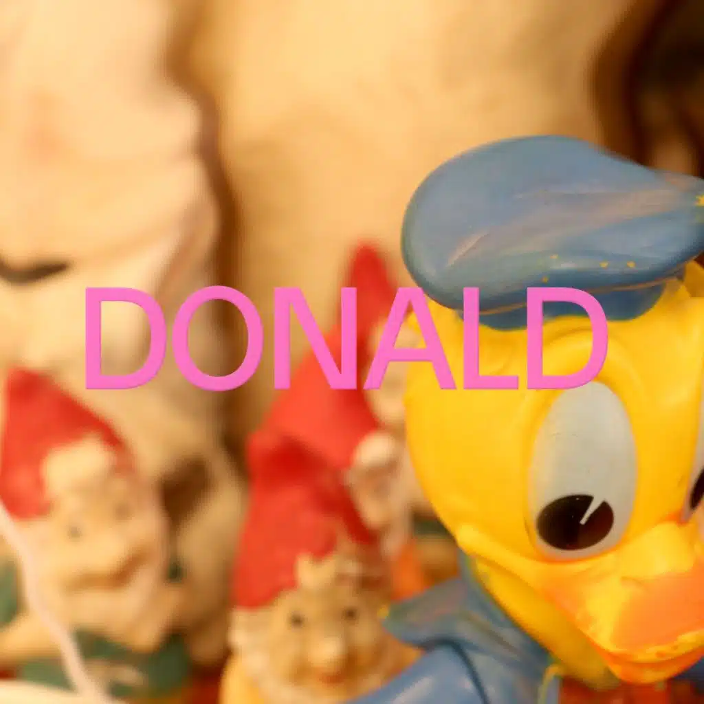 Donald