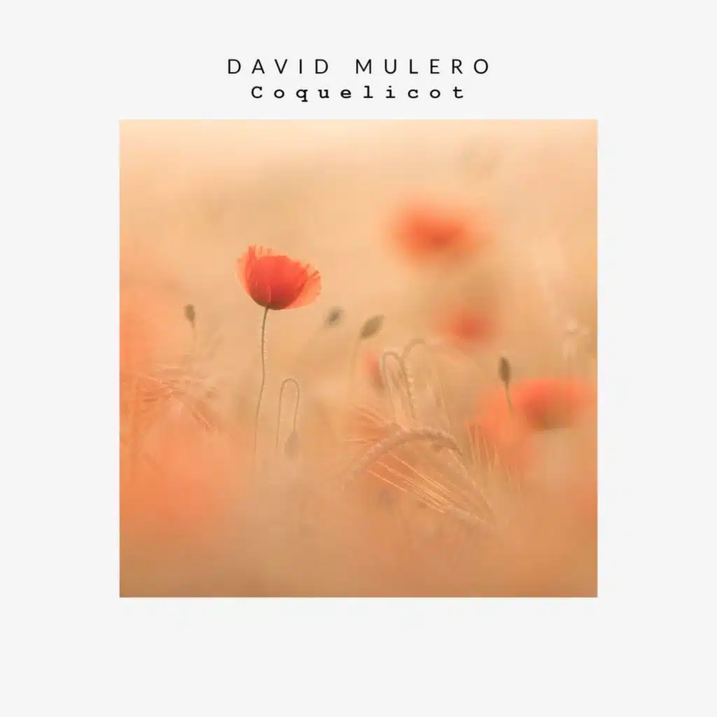 David Mulero