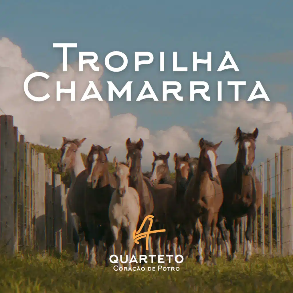 Quarteto Coração de Potro