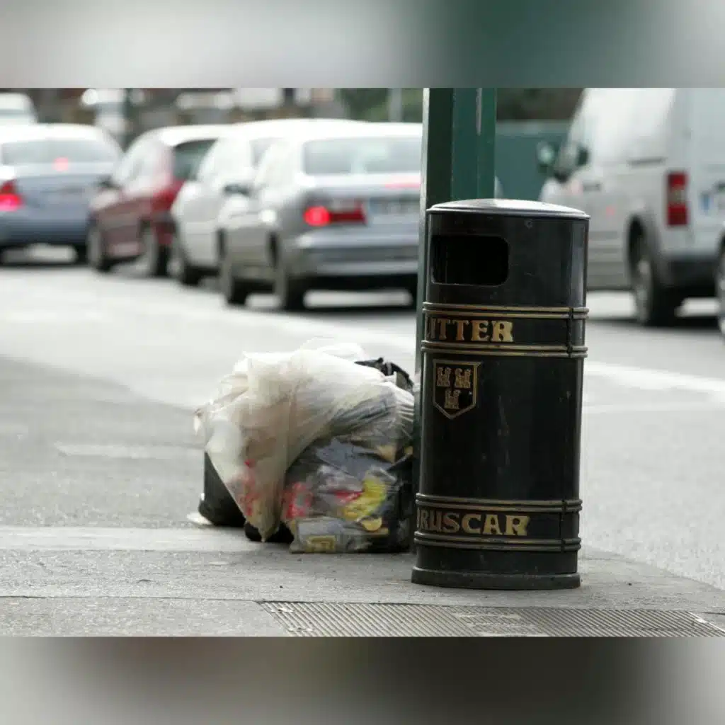 Do we need a blanket ban on plastic bin bags?