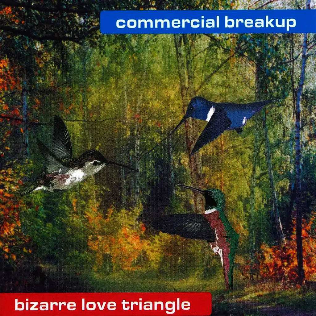 Bizarre Love Triangle (Mj Lan & Vredus Mix)