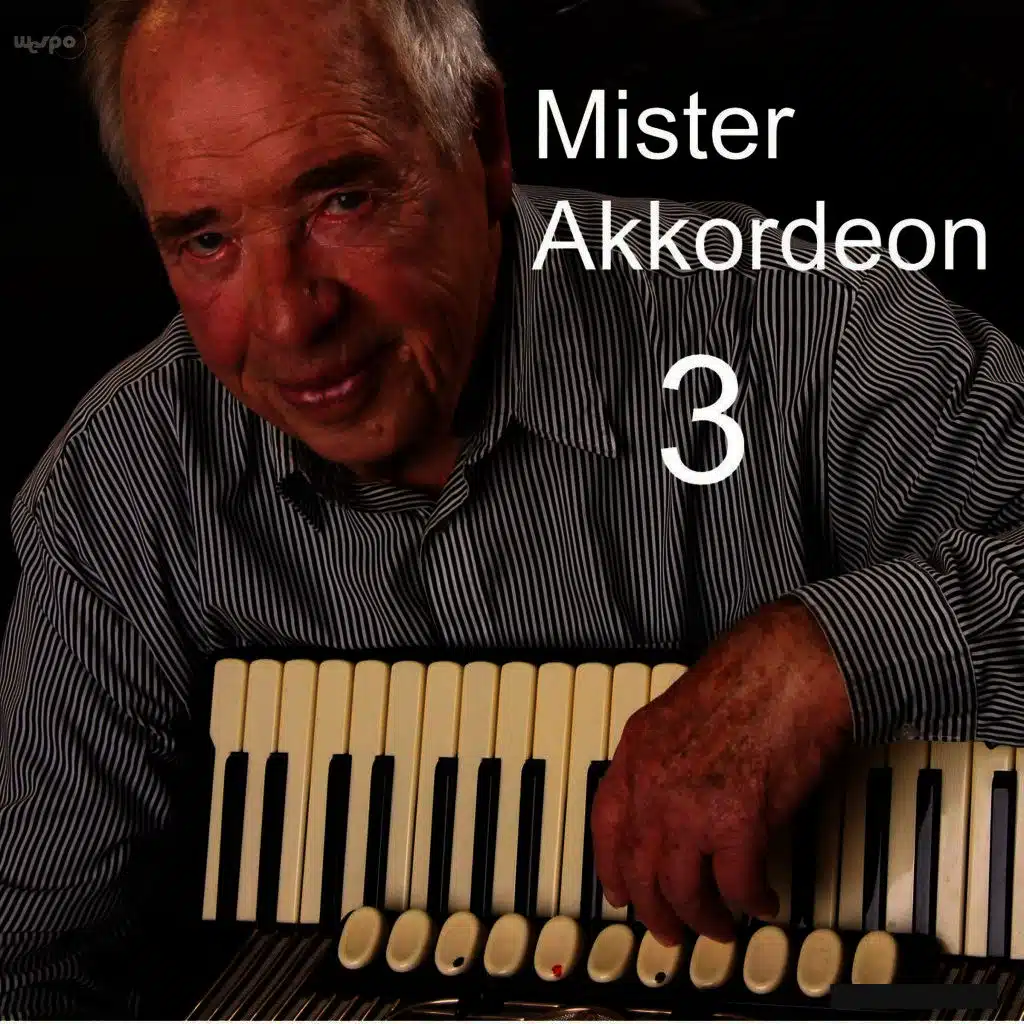 Mister Akkordeon (3)