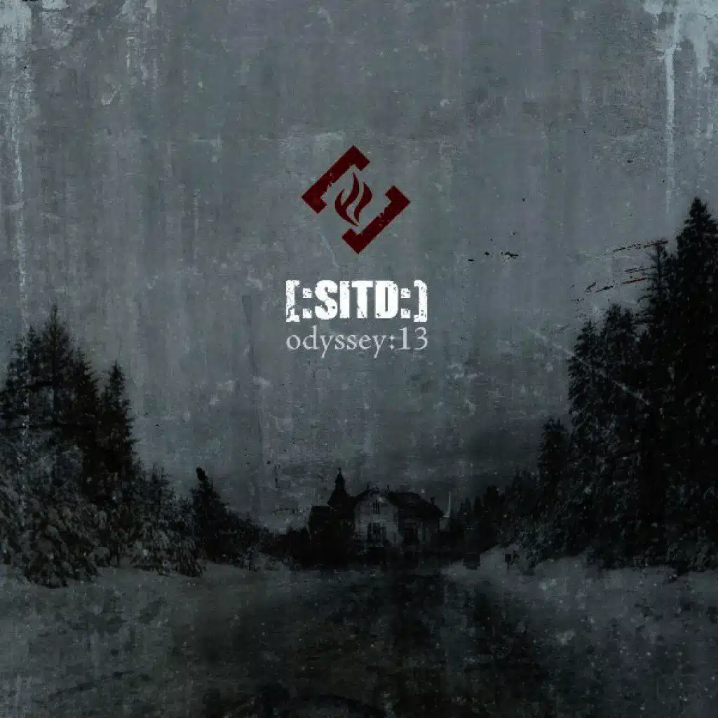 Suffering In Solitude