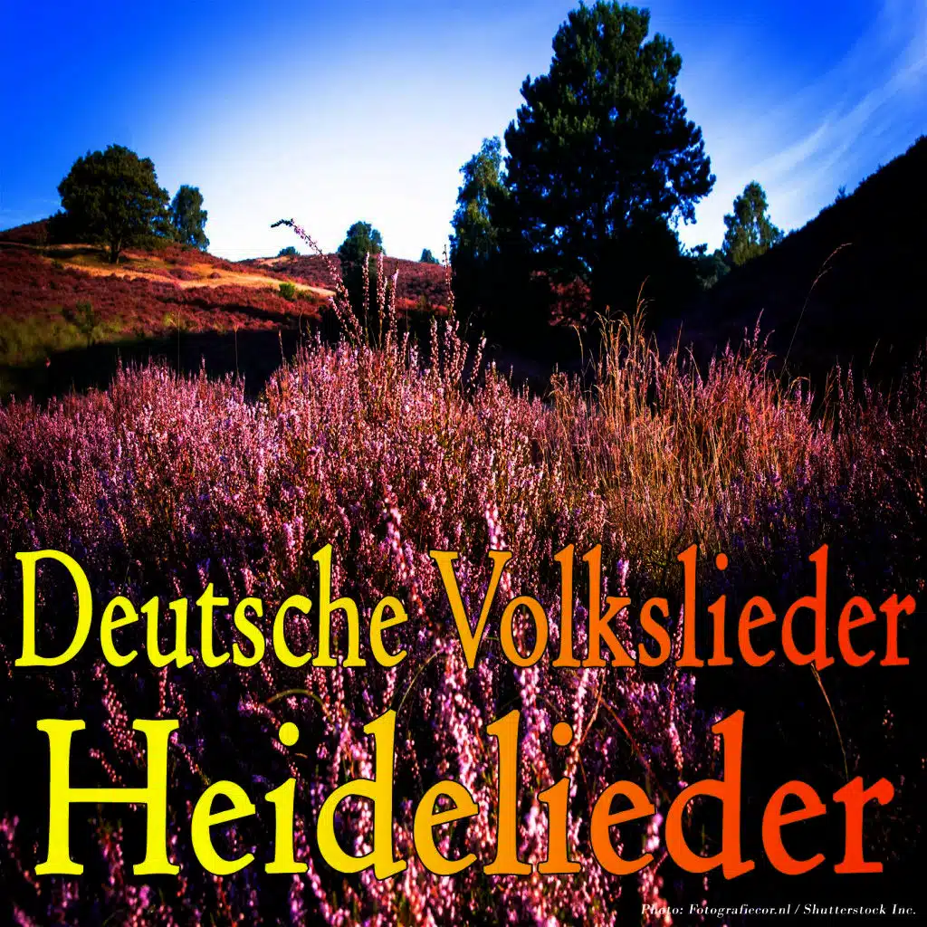 Deutsche Volkslieder - Heidelieder