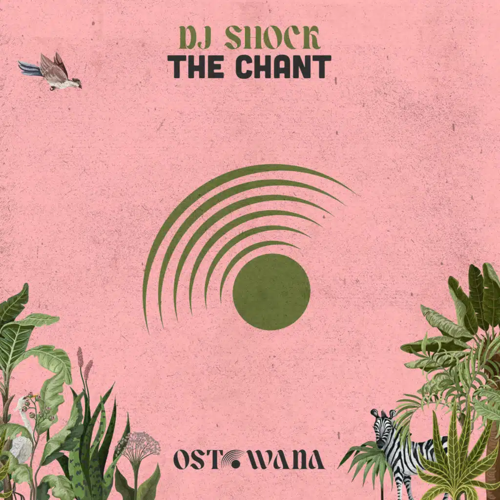 Dj Shock