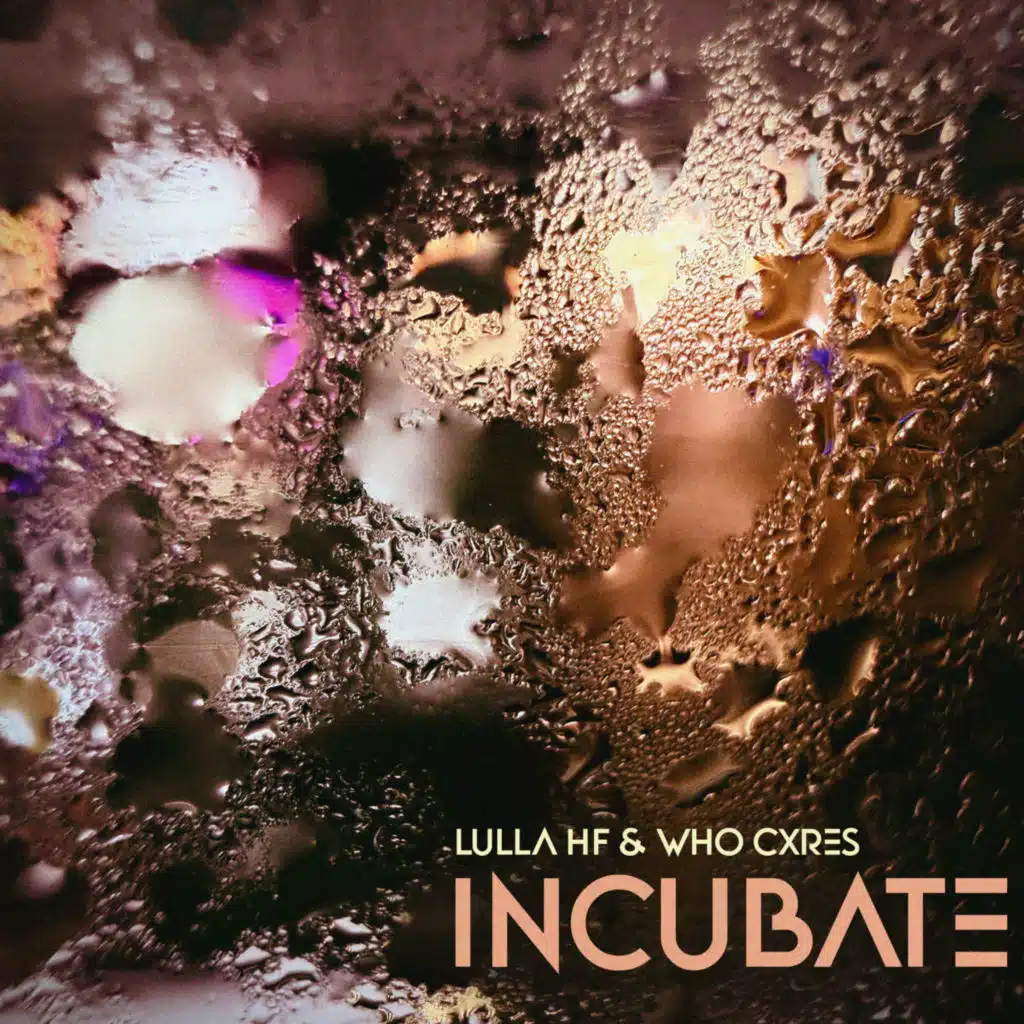 Incubate