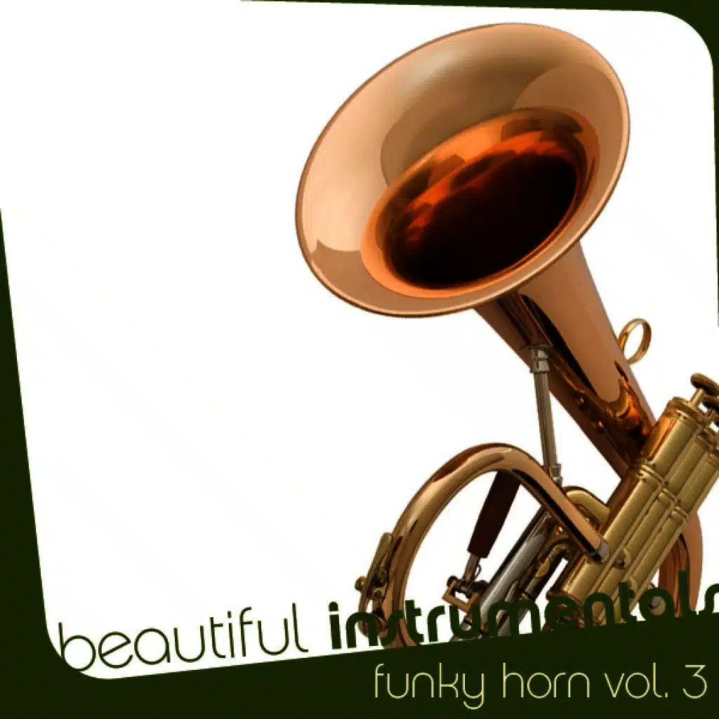 Beautiful Instrumentals: Funky Horn Vol. 3