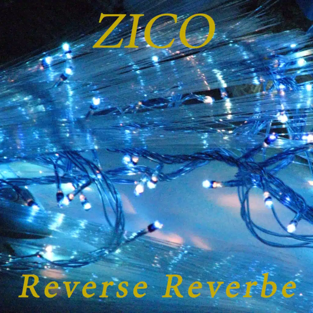 Reverse Reverbe