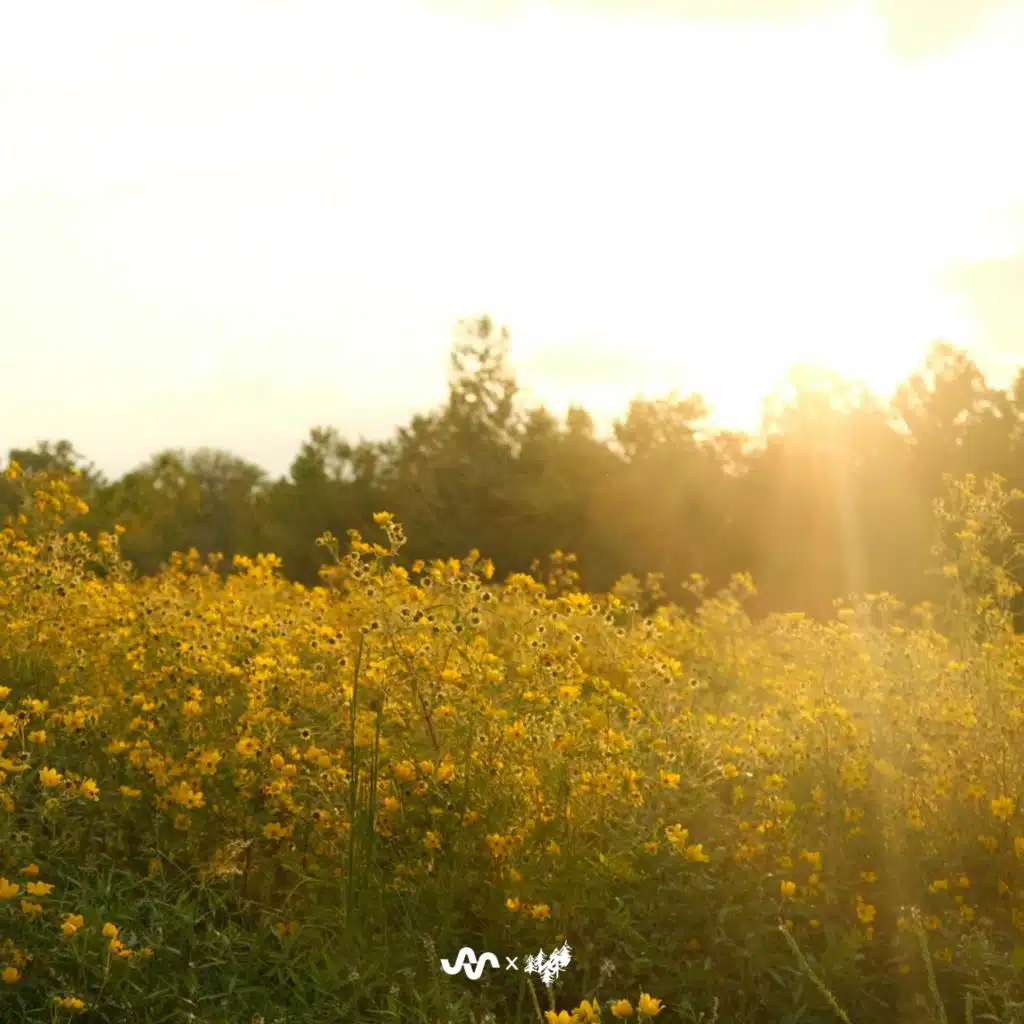 Summer Memories, Vol. 2