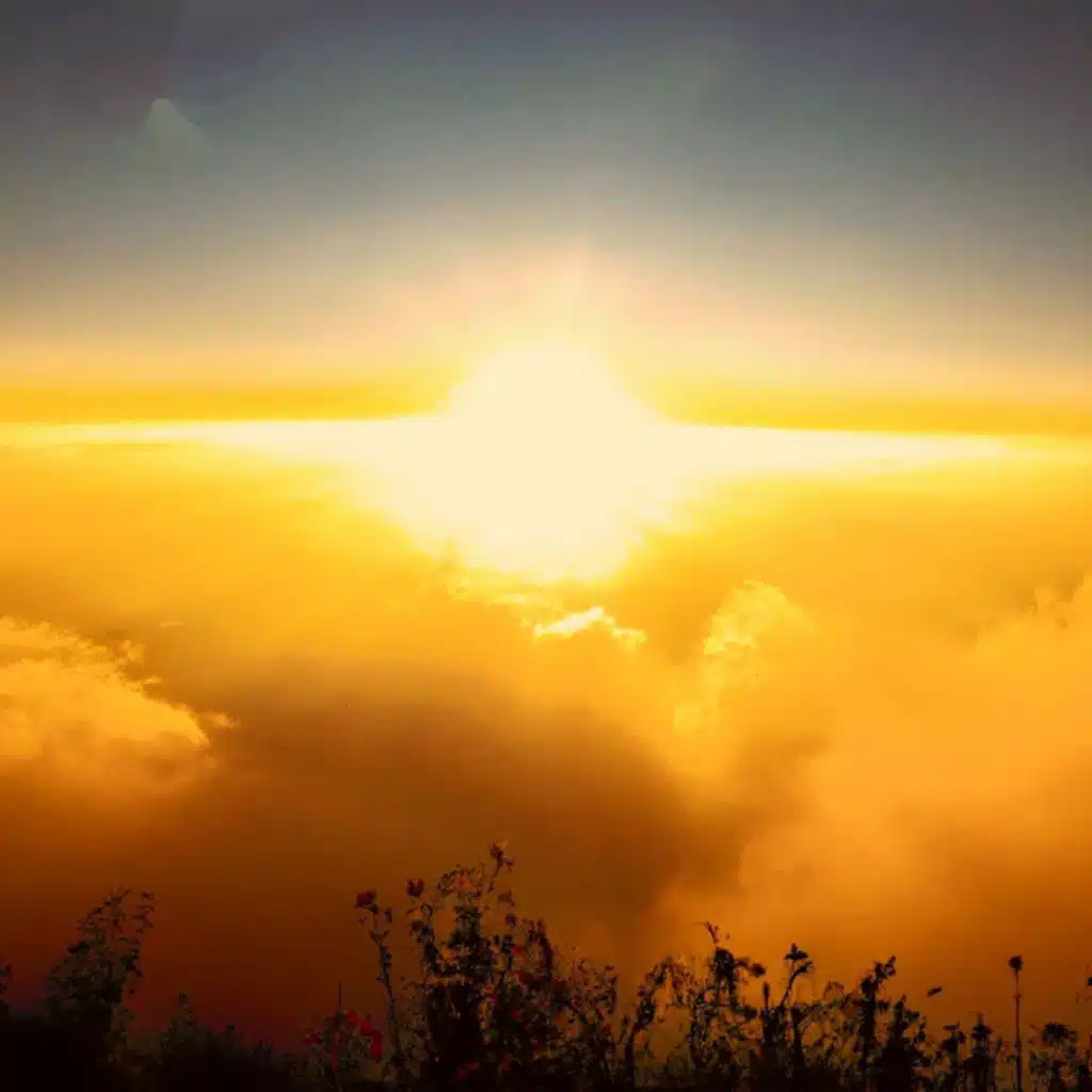 Morning sun