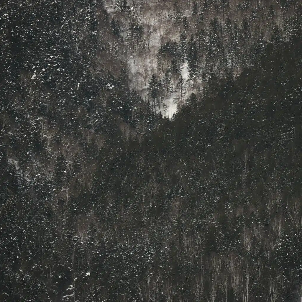 Snowk