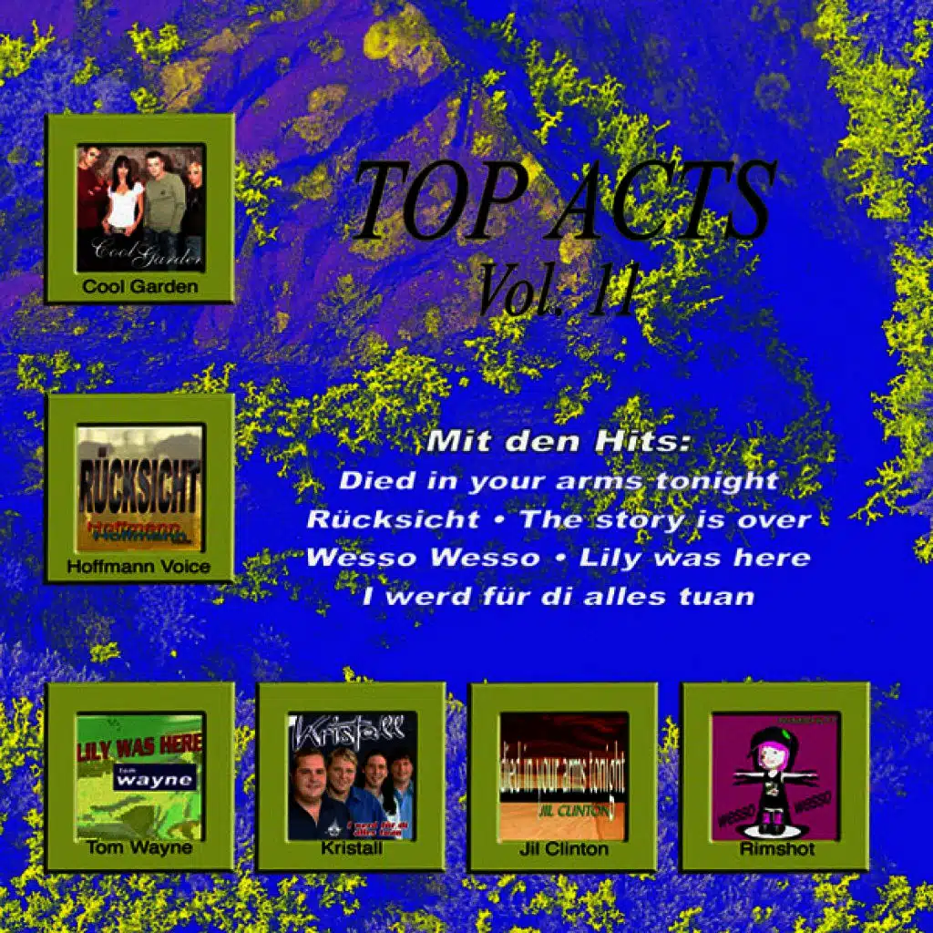 Top Acts Vol. 11