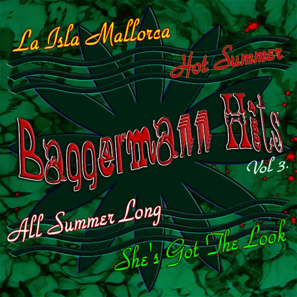 Baggermann Hits Vol. 3