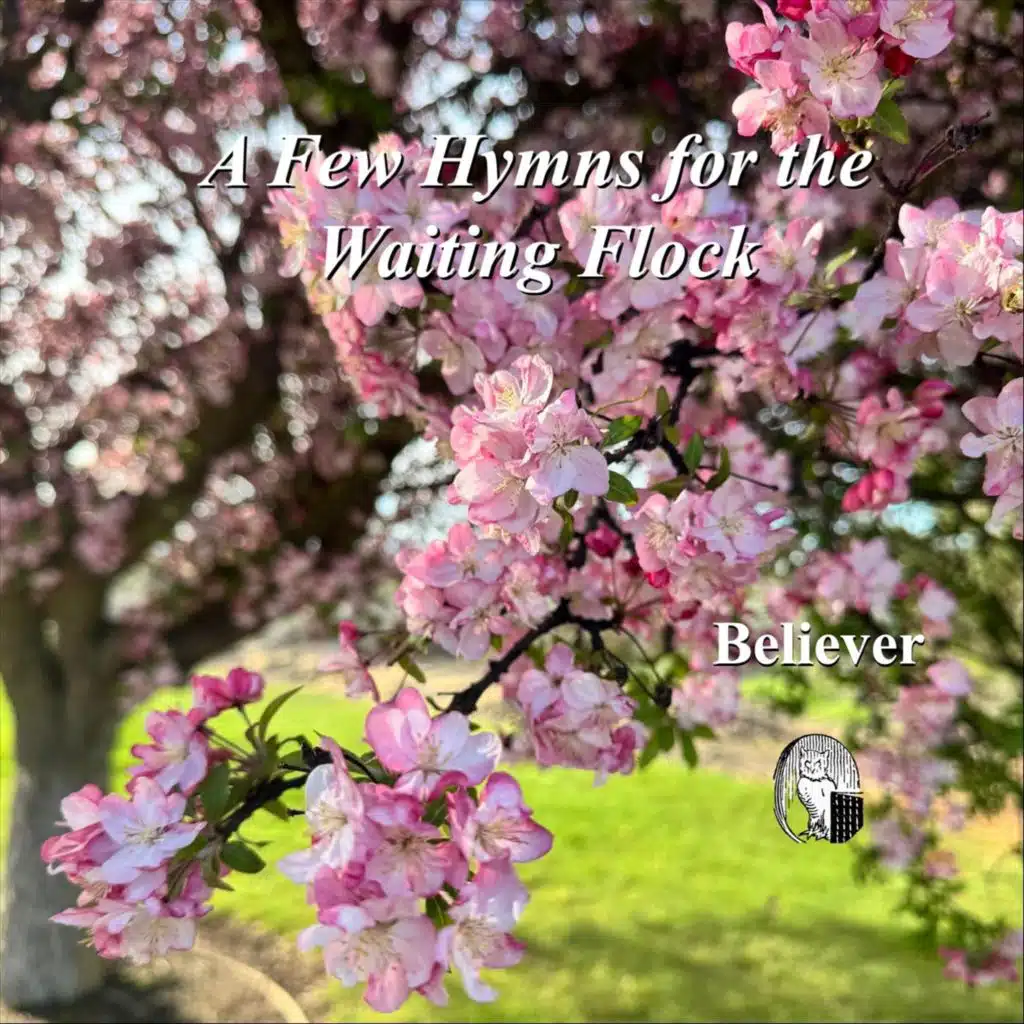 A Few Hymns for the Waiting Flock