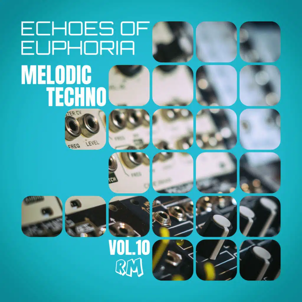Melodic Techno: Echoes Of Euphoria, Vol.10