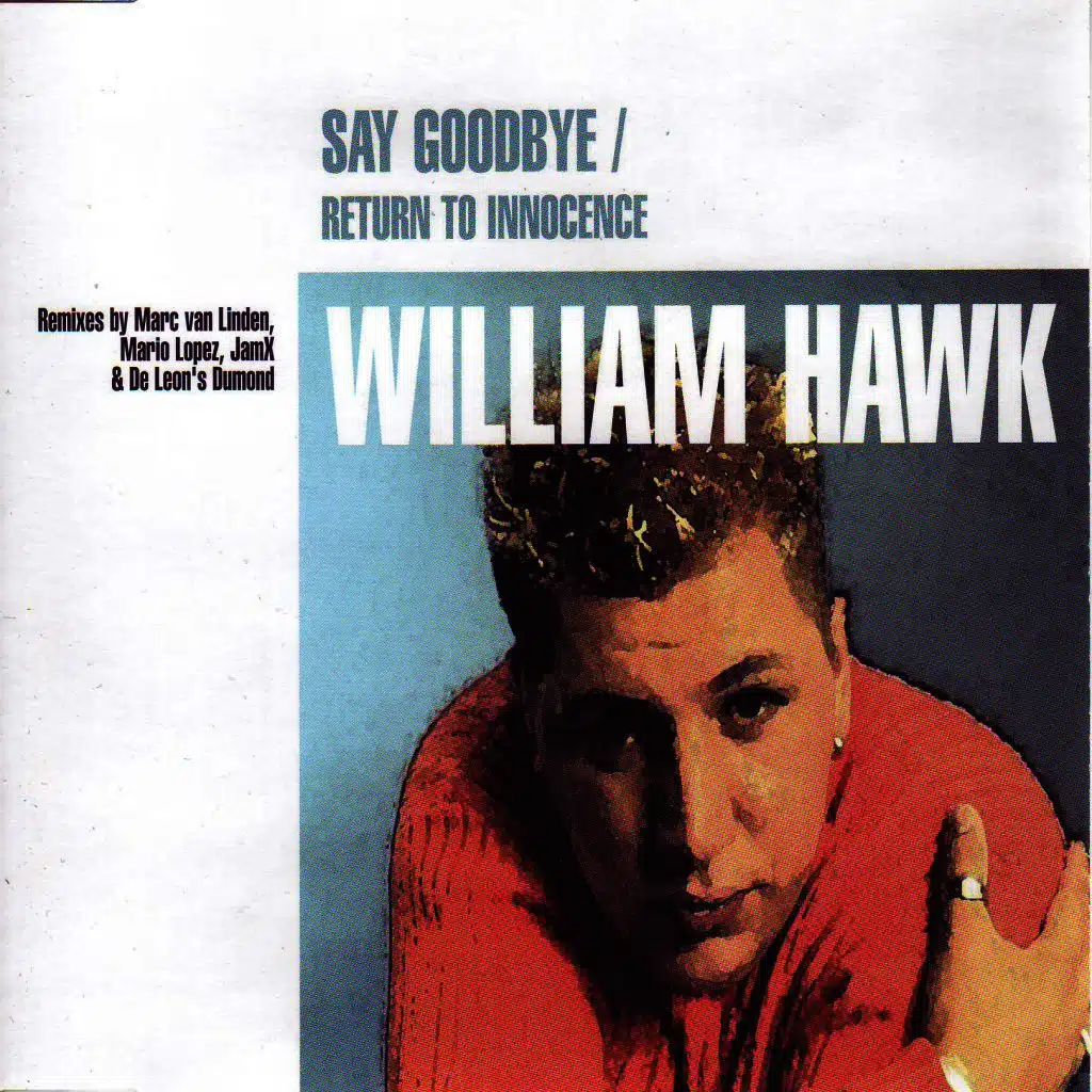 Say Goodbye (Marc Van Linden vs. D-Gor Club Remix)