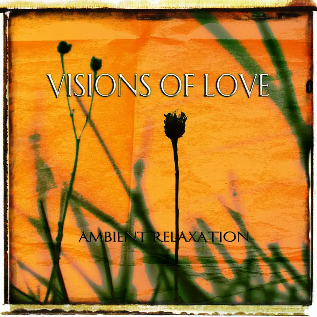 Visions of Love