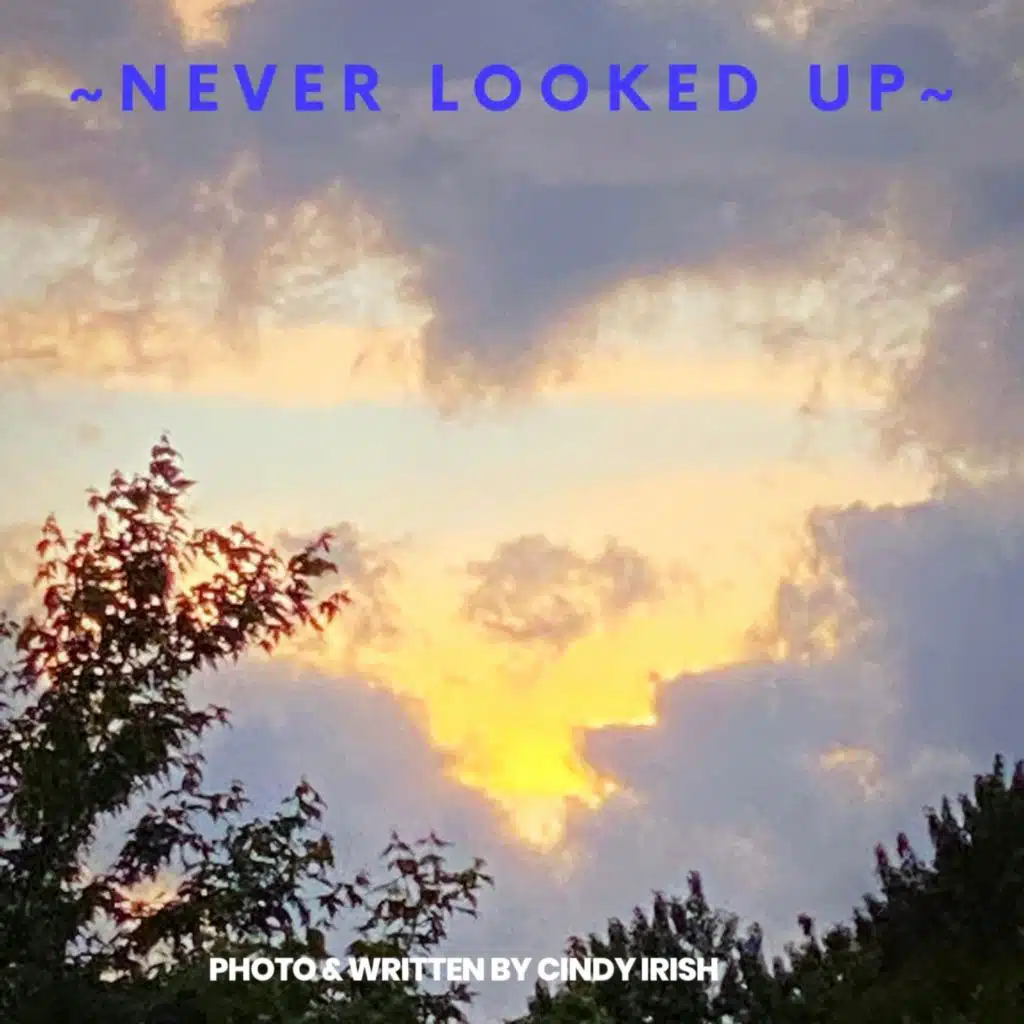 Never looked up