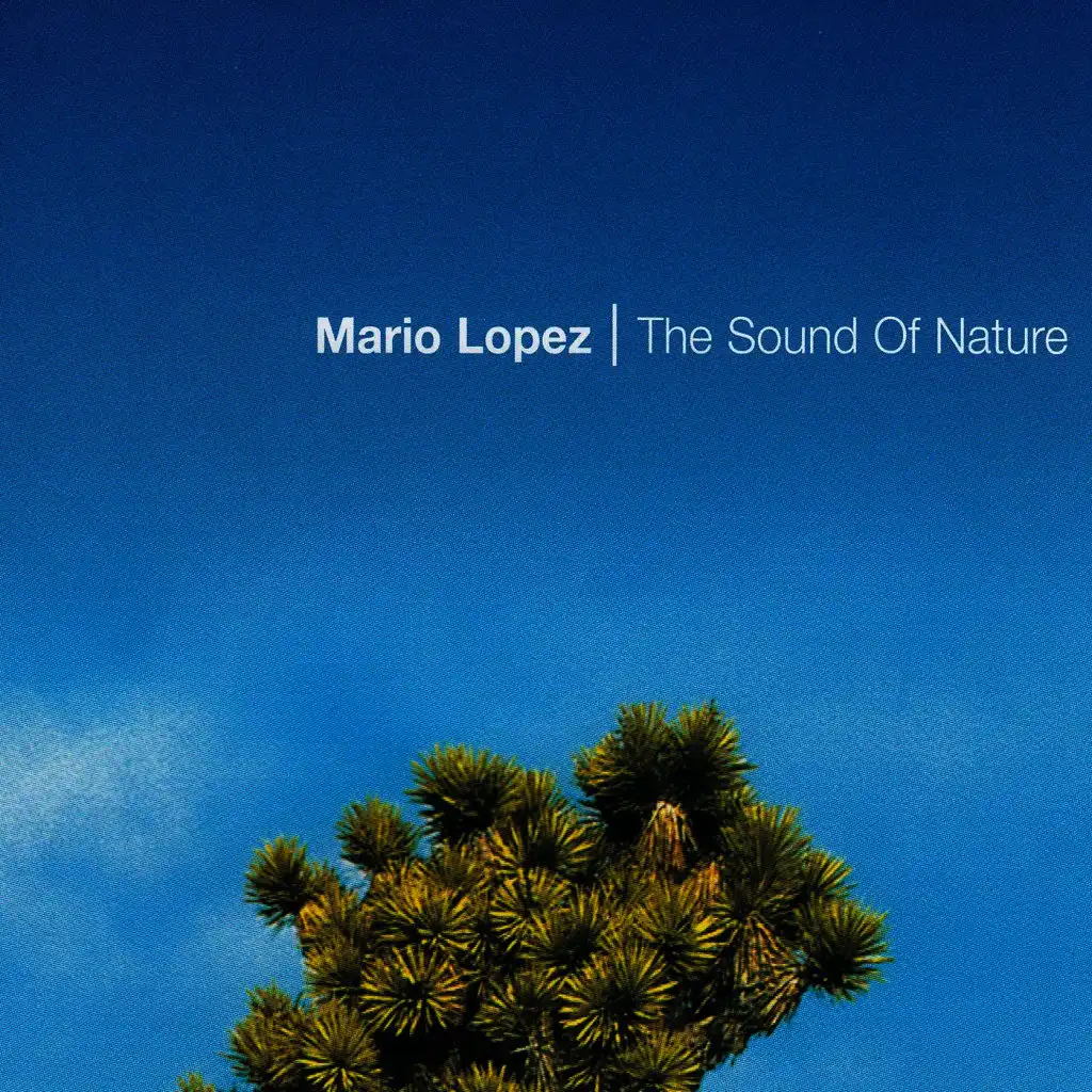 The Sound of Nature (Club Attack Plug'n'play)
