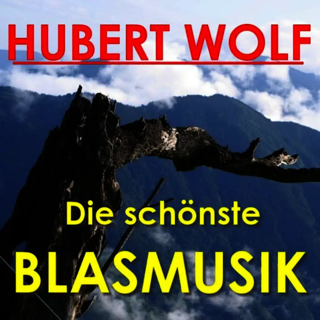 Hubert Wolf Und Seine Original Böhmerländer Musikanten