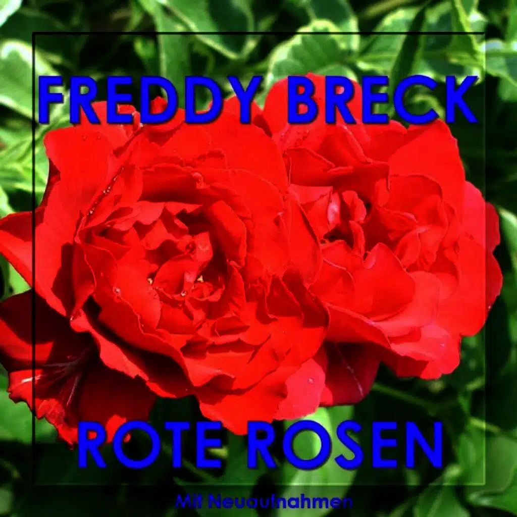 Rote Rosen Für Dich - Mit Neuaufnahmen in Verbesserter Klangqualität