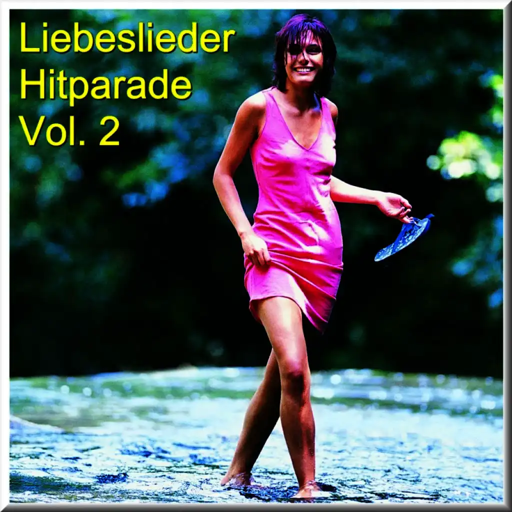 Liebeslieder Hitparade Vol. 2