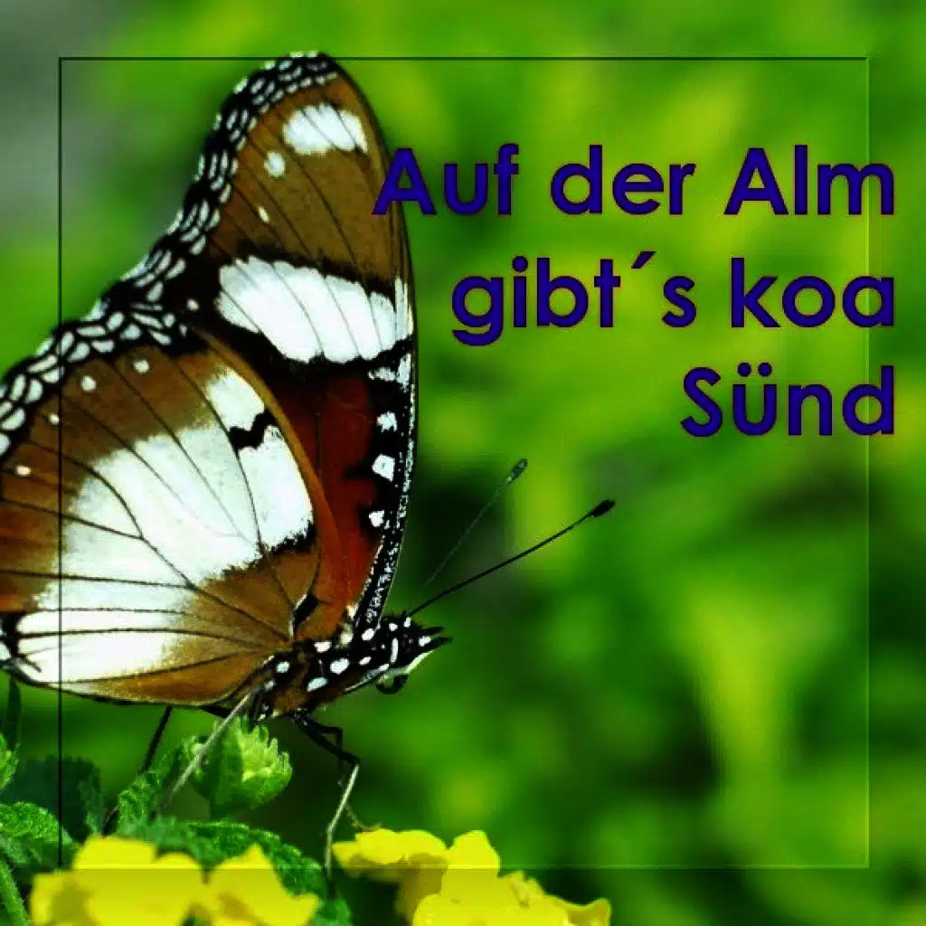 Auf Der Alm Gibt's Koa Sünd - Echte Volksmusik - Bayern - Bavaria